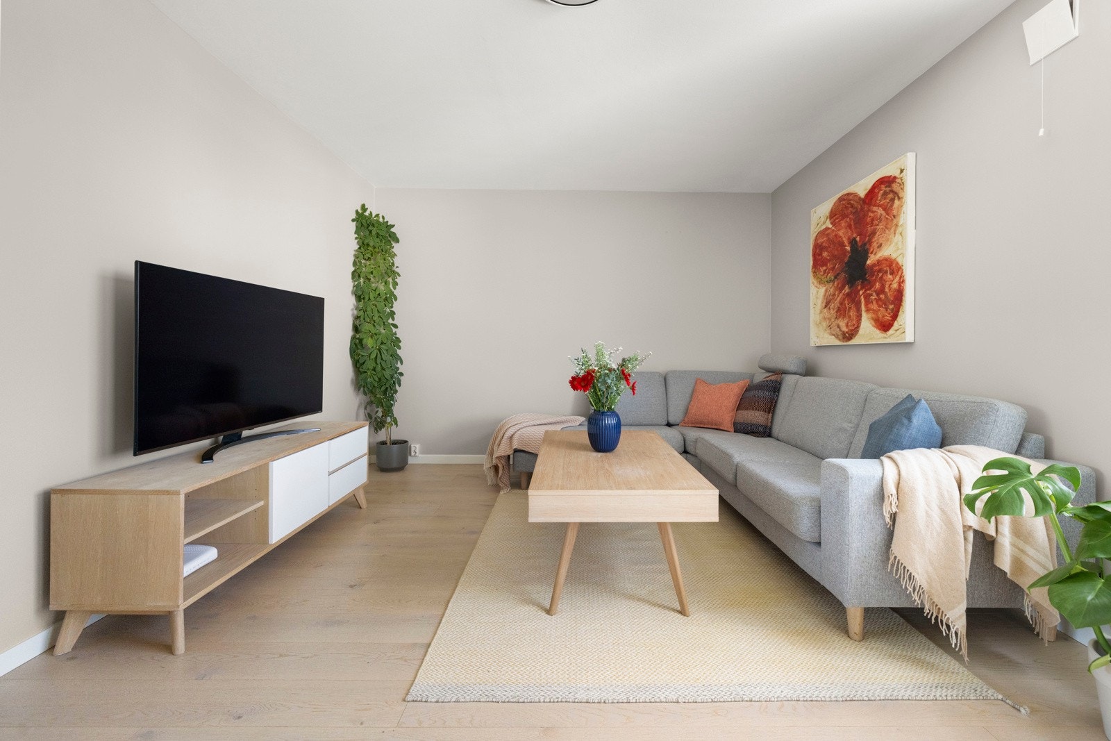 Nye flater i alle rom fra 2018/2019 Galleribilde