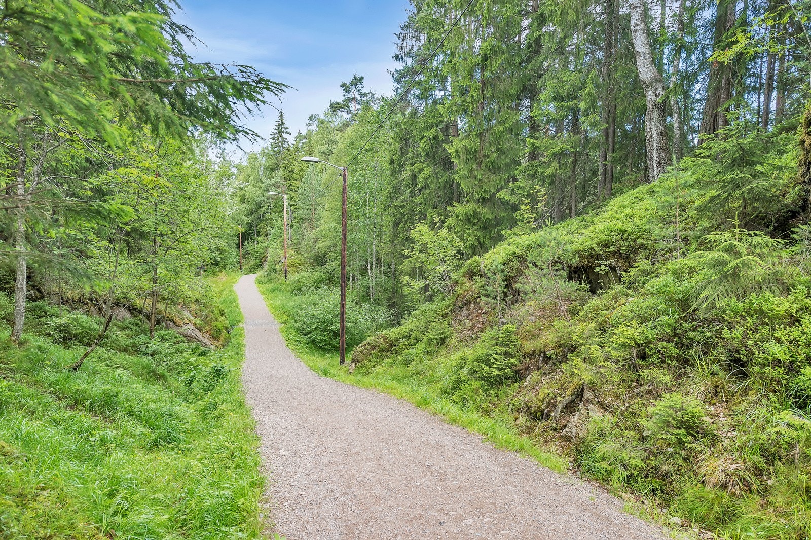 Ta turen til f.eks. Lutvann. Lutvann er et ettertraktet bade- og fiskevann for Groruddalsboere. Lutvann skiller seg merkbart ut fra de aller fleste innsjøer på Østlandet med sitt usedvanlig klare og rene vann. Galleribilde