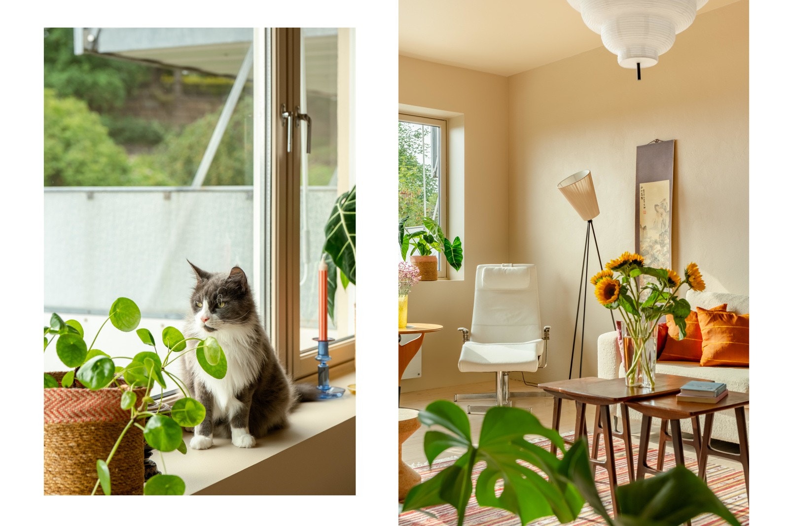 Sees vi? Galleribilde