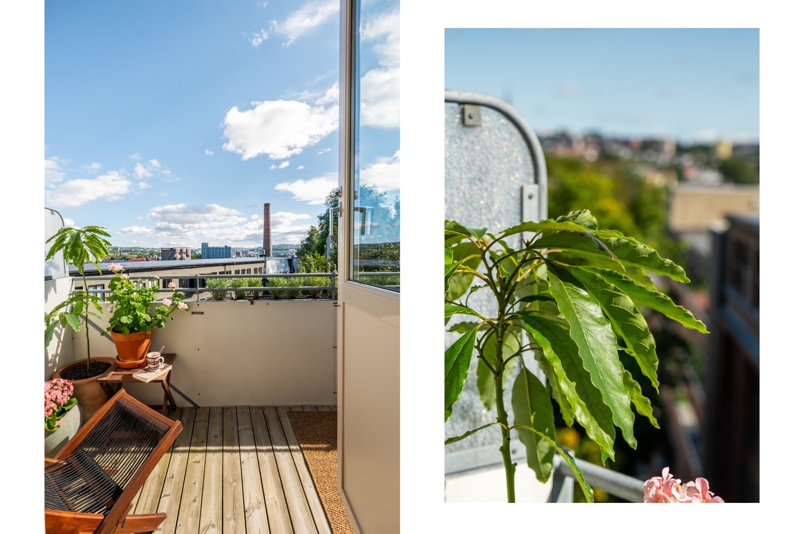 Velkommen til toppen og utsikten! Galleribilde