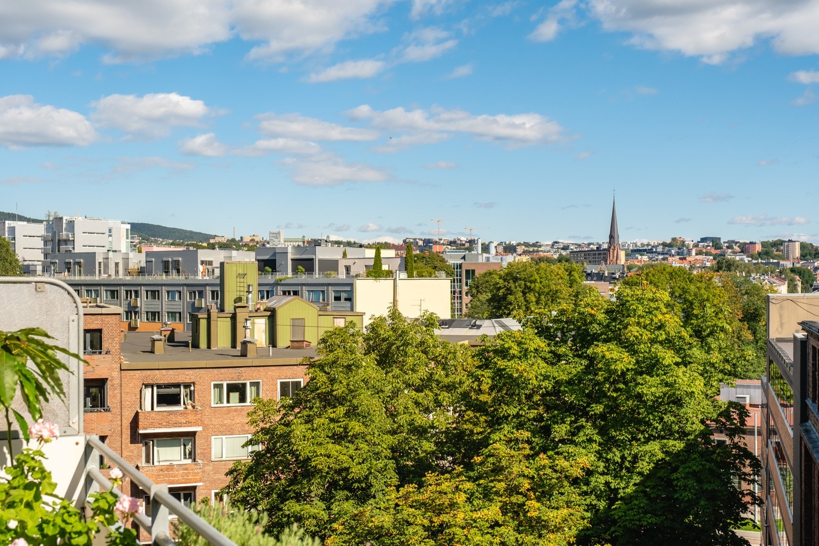 Og dette. Galleribilde