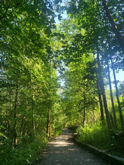 Selgers eget bilde av naturen rundt leiligheten Galleribilde