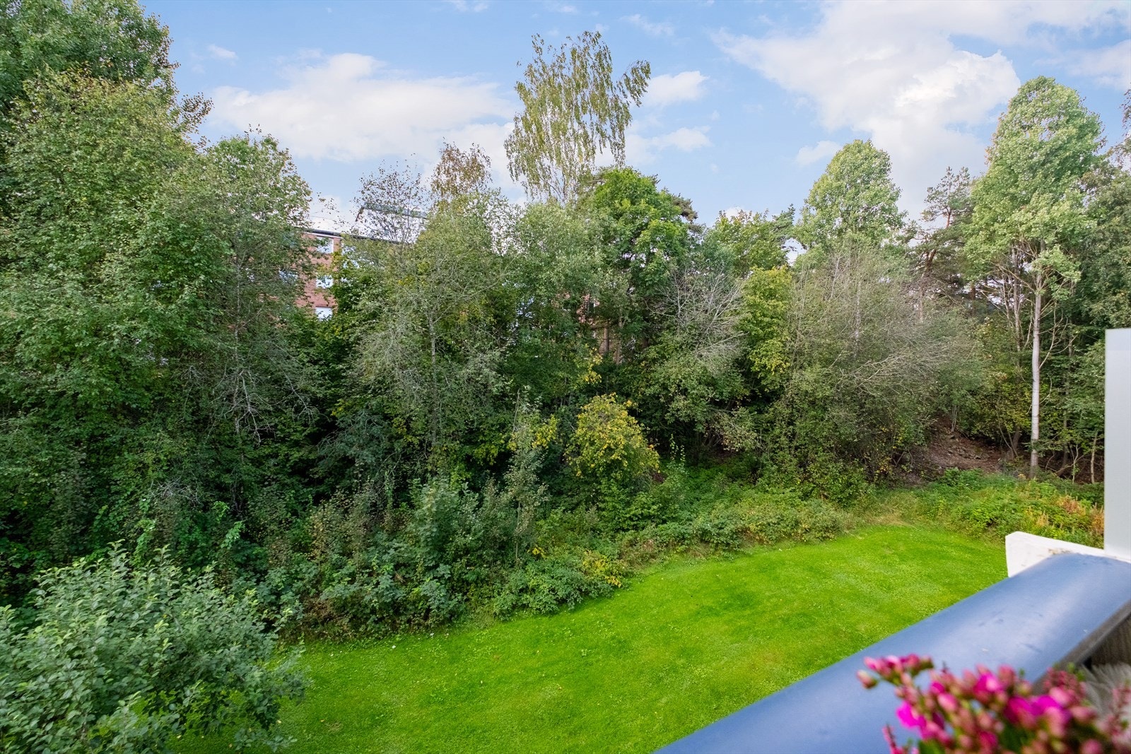 DSCF0086.jpg Galleribilde