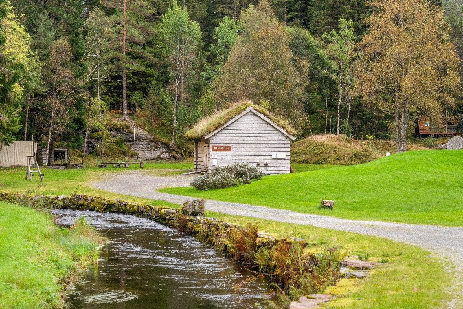 ... som heile familien kan ta nytte av. Galleribilde