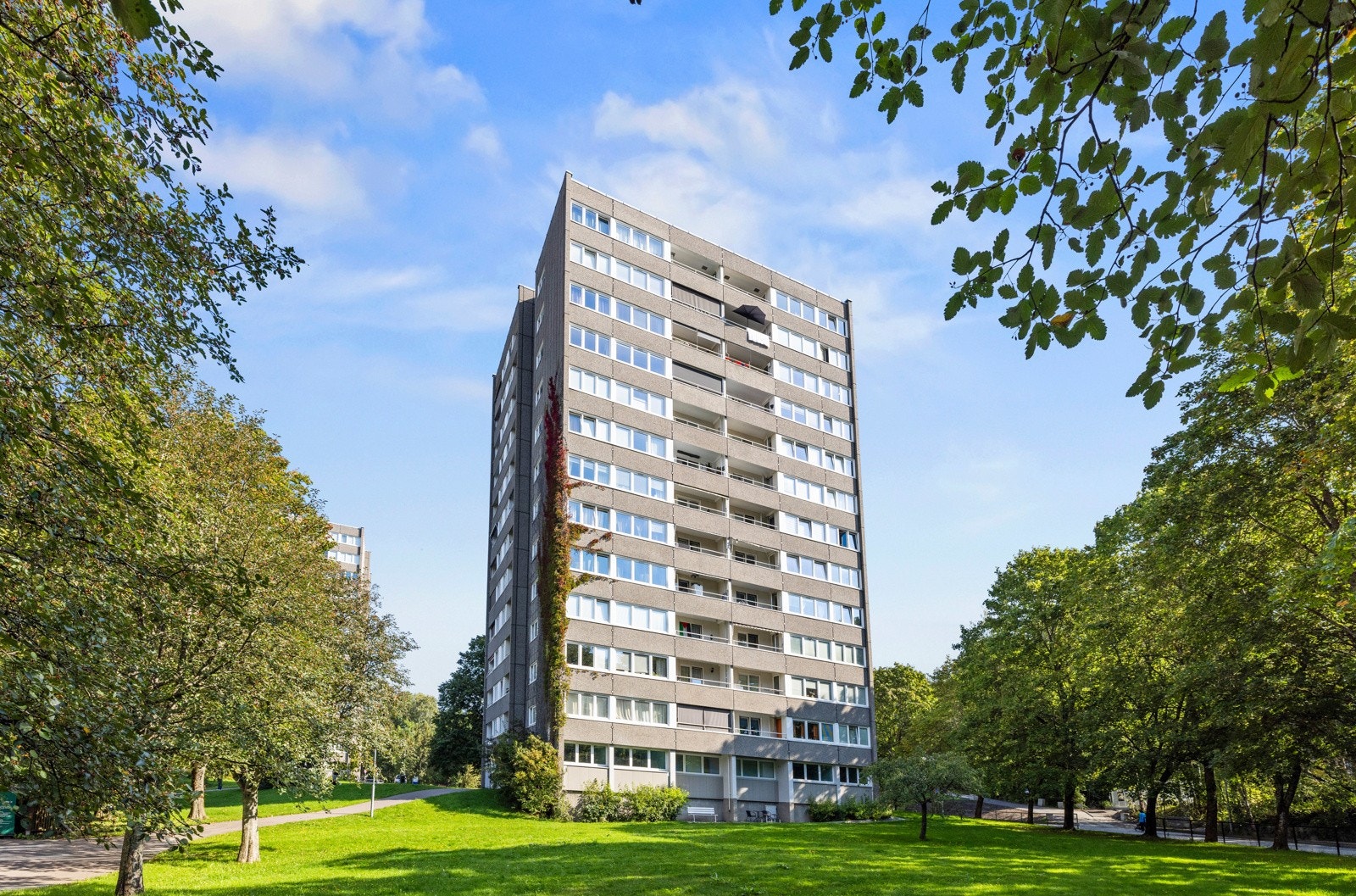 Omgivelsene er rolige, med umiddelbar nærhet til flotte turområder i skog og mark Galleribilde