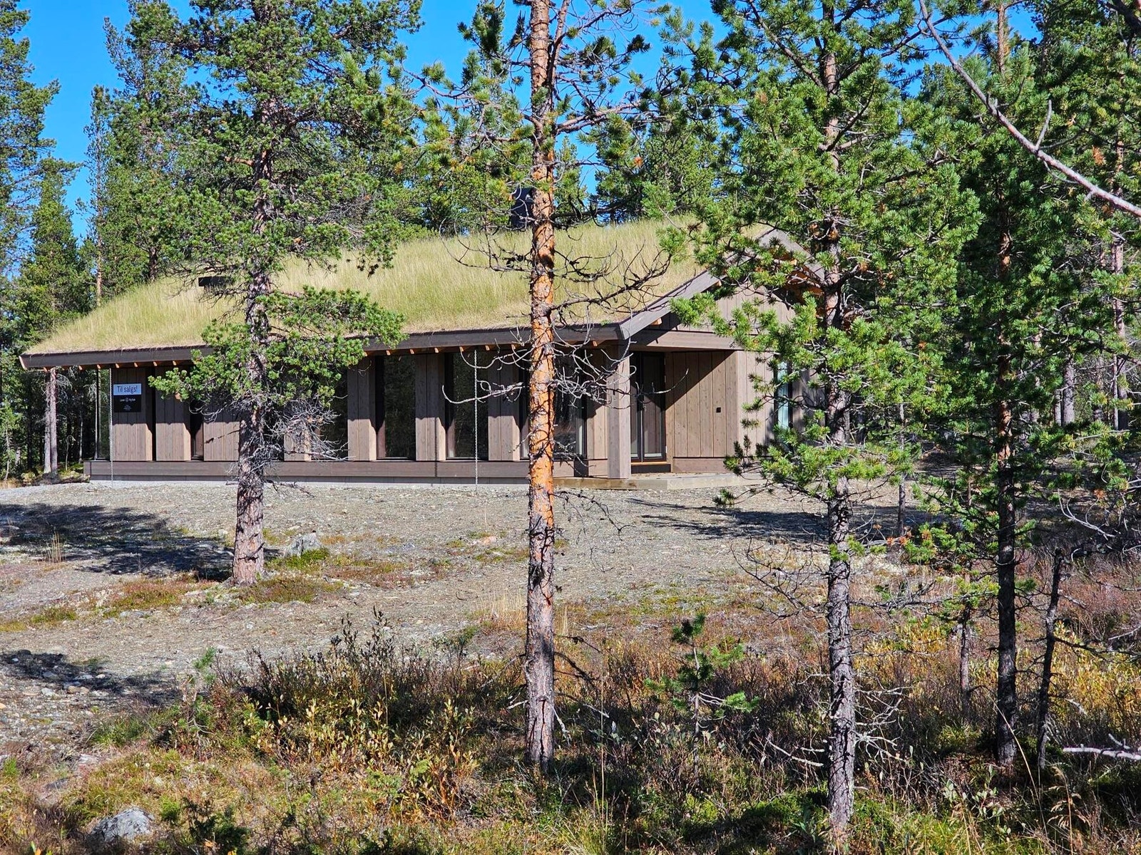 Foto fra sept 2024 Galleribilde