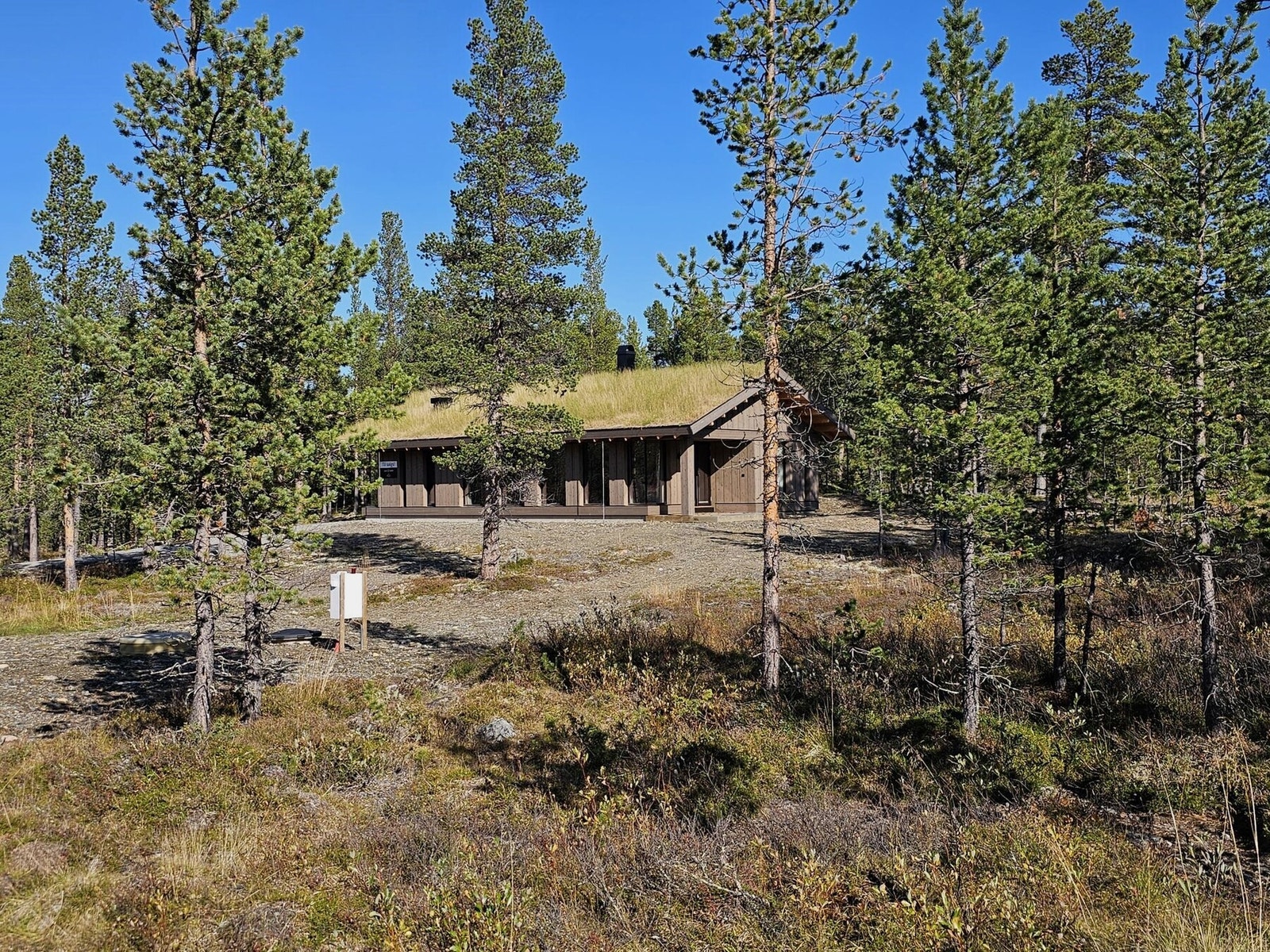 Tomta har naturlig vegetasjon Galleribilde