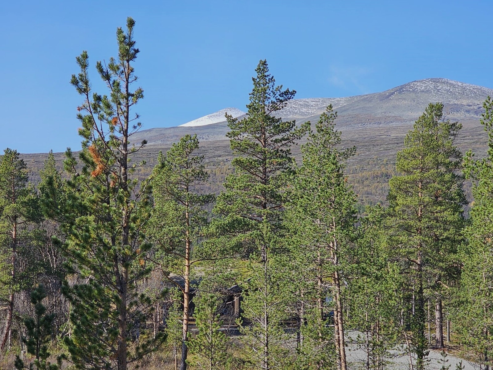 Utsikt fra tomta Galleribilde
