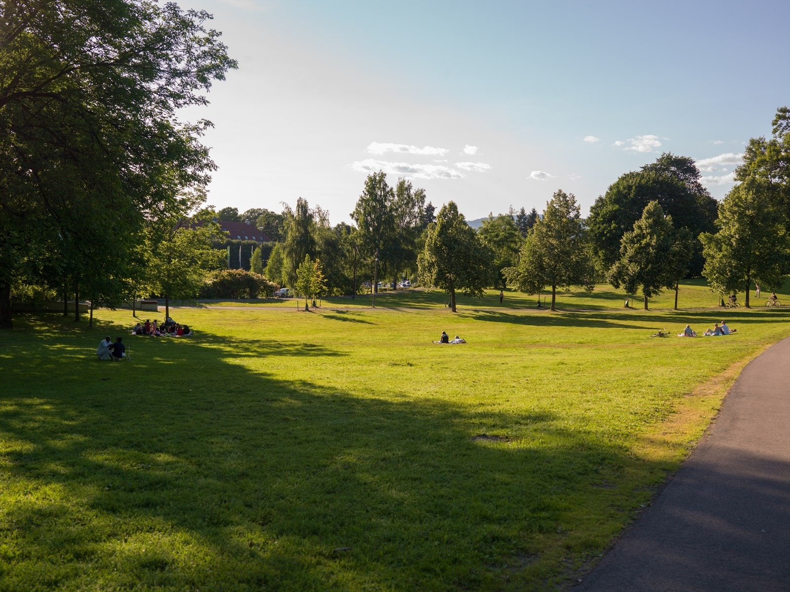 Tøyenparken byr på finne turstier og store grønne sletter hvor man kan samles til lek og hygge. Galleribilde