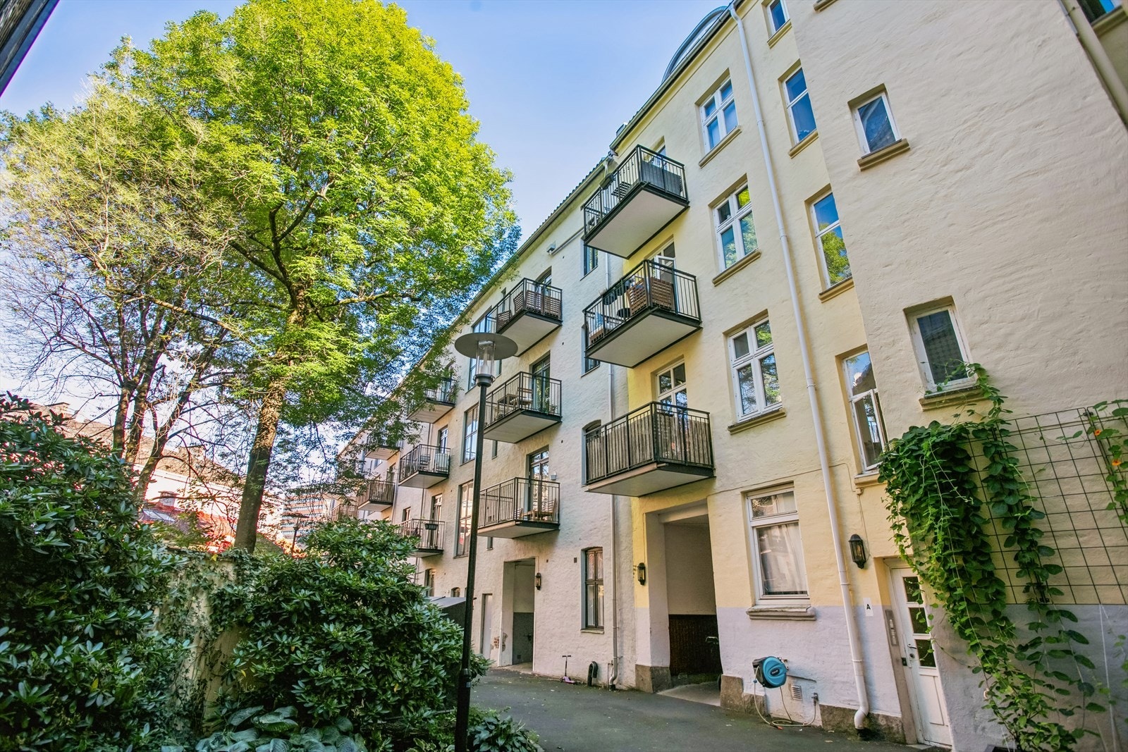 Velkommen til visning Galleribilde