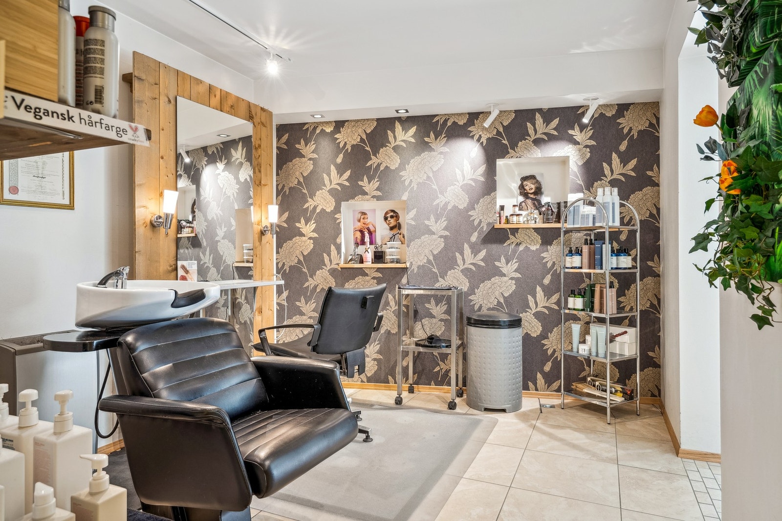 Den er inndelt i flere soner og har et spennende potensiale. Galleribilde