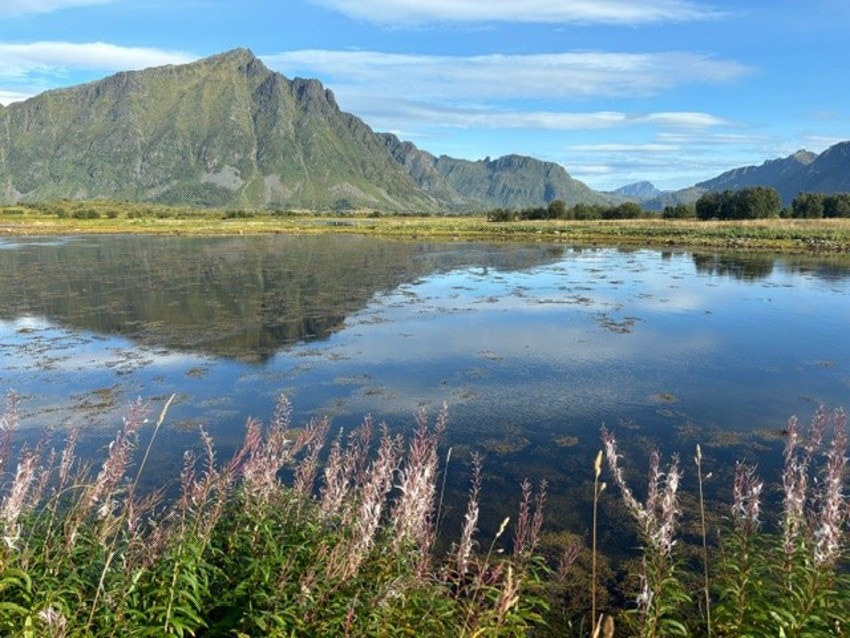 Bilde 2 Galleribilde