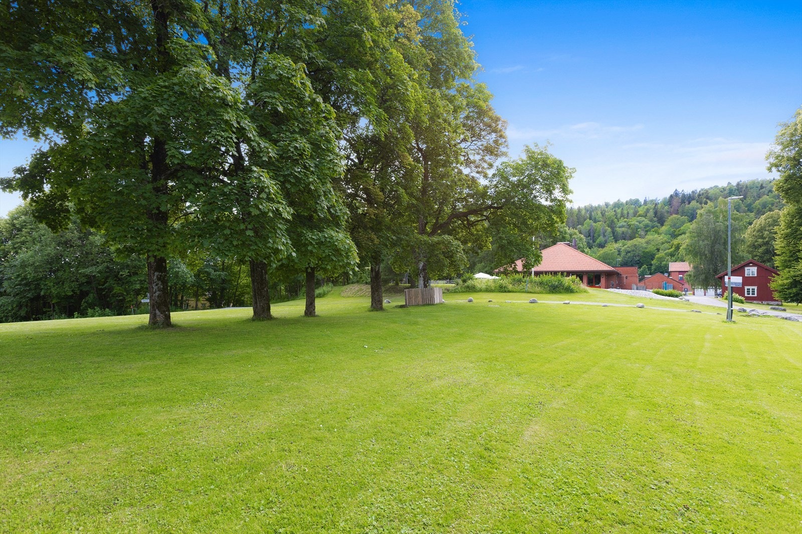 Nærliggende grøntområde med store trær. Galleribilde