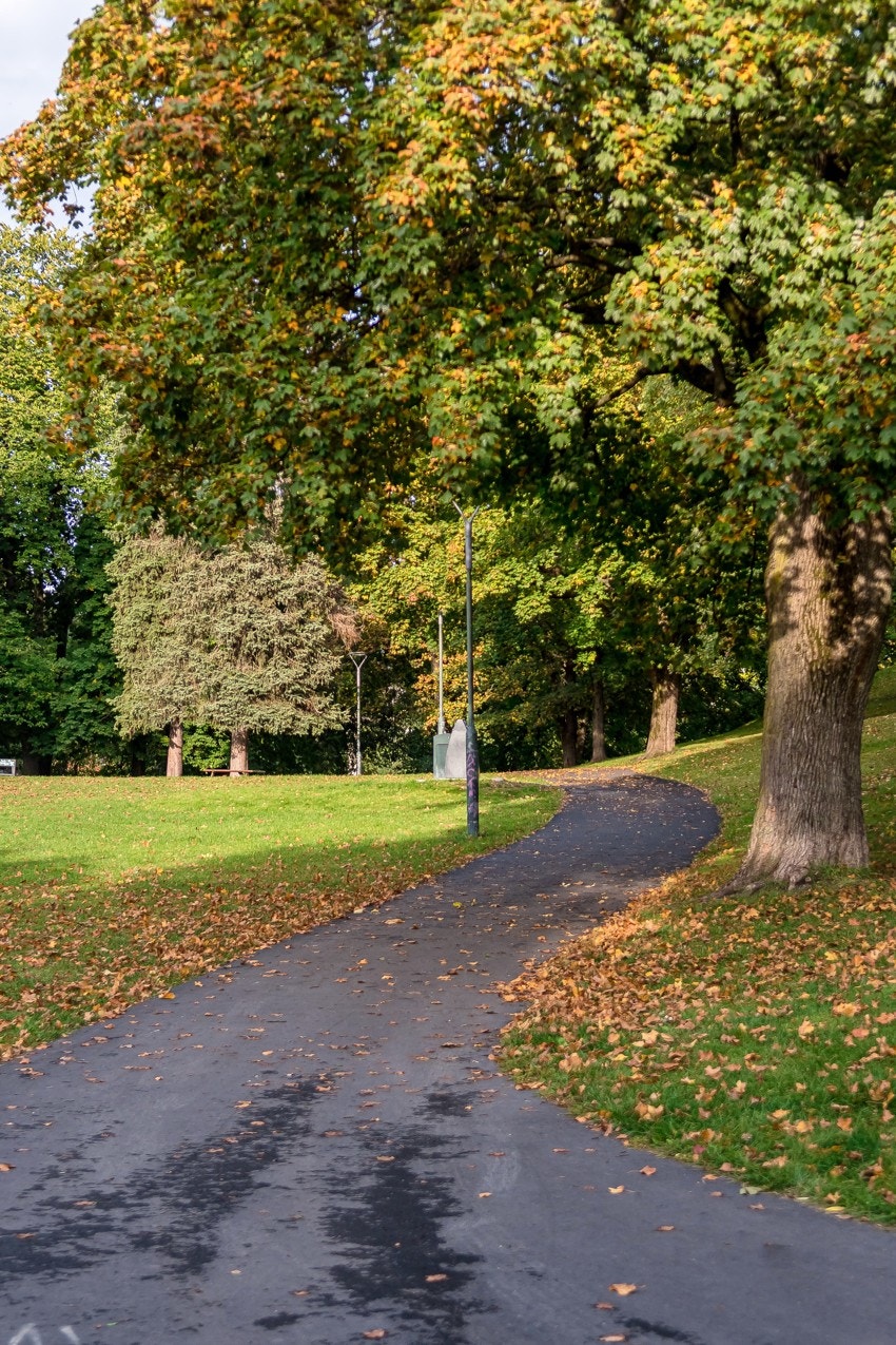 Bjølsenparken ligger et steinkast unna. Her er det bare å ta på seg joggeskoene, eller rusle rett ut i parken for en hyggelig søndagstur. Galleribilde