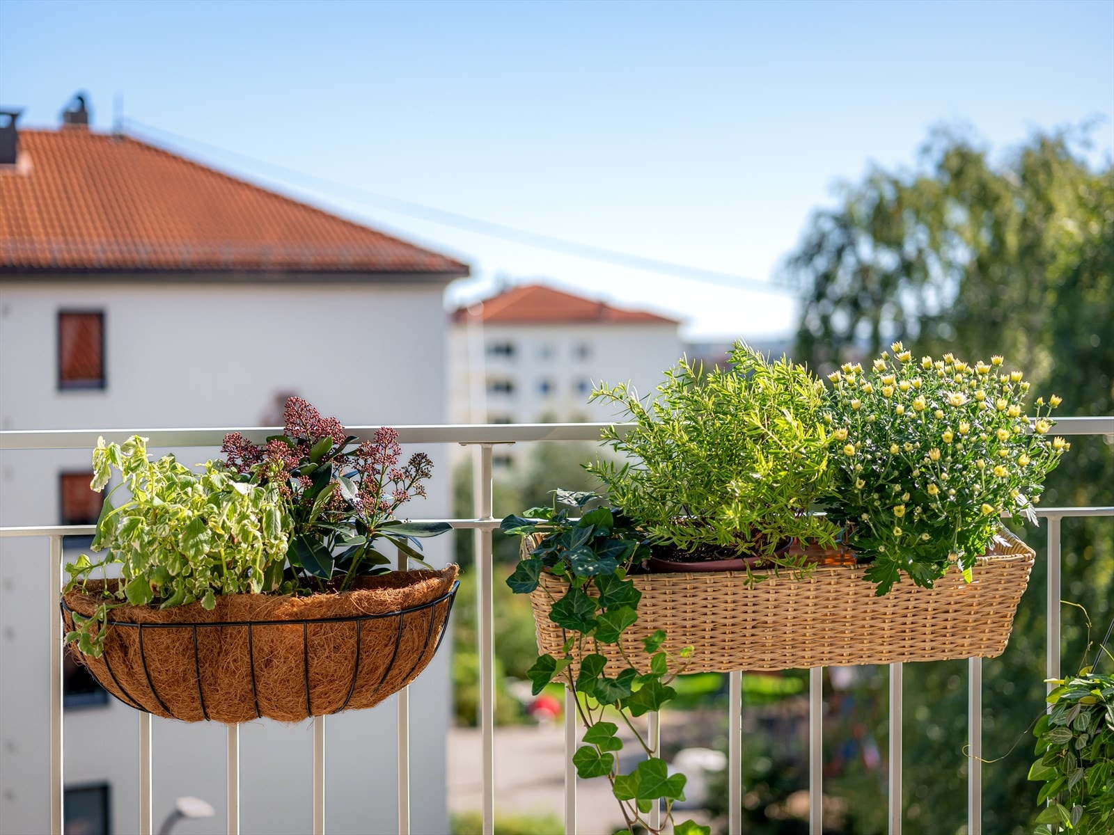 Et perfekt sted å ha sin egen urtehage! Galleribilde