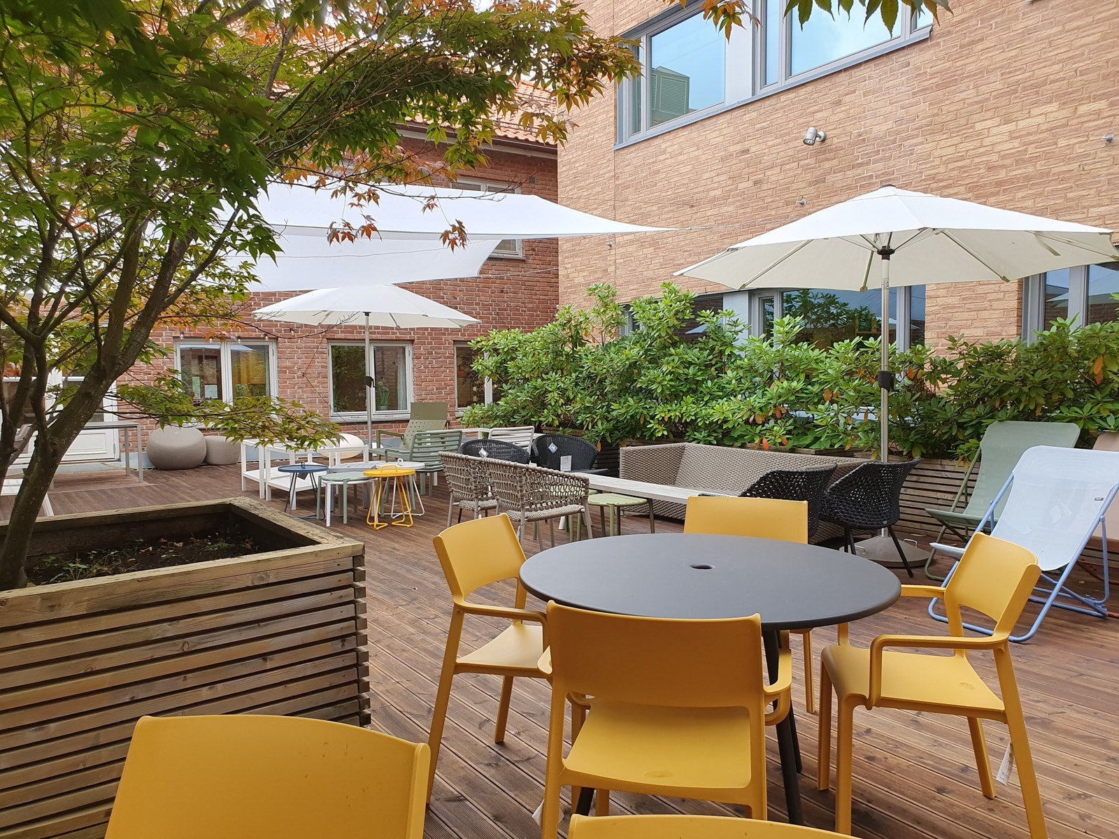 Tilgang til idyllisk takhage Galleribilde