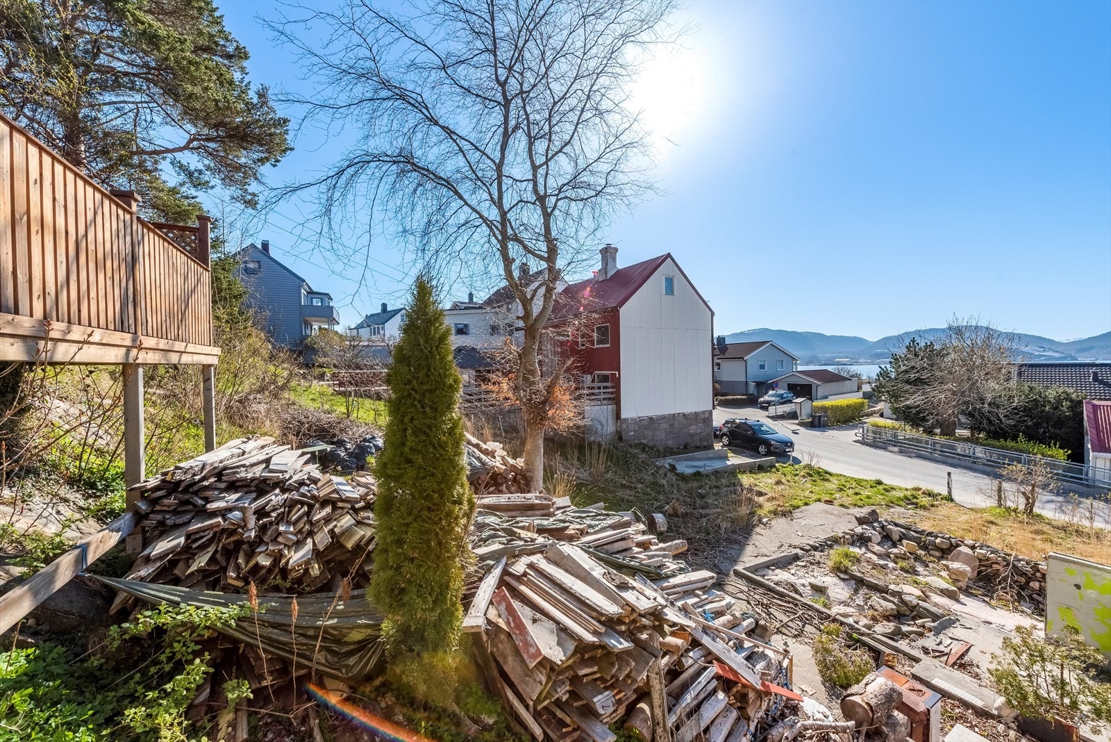 Bilde fra tomten. Galleribilde