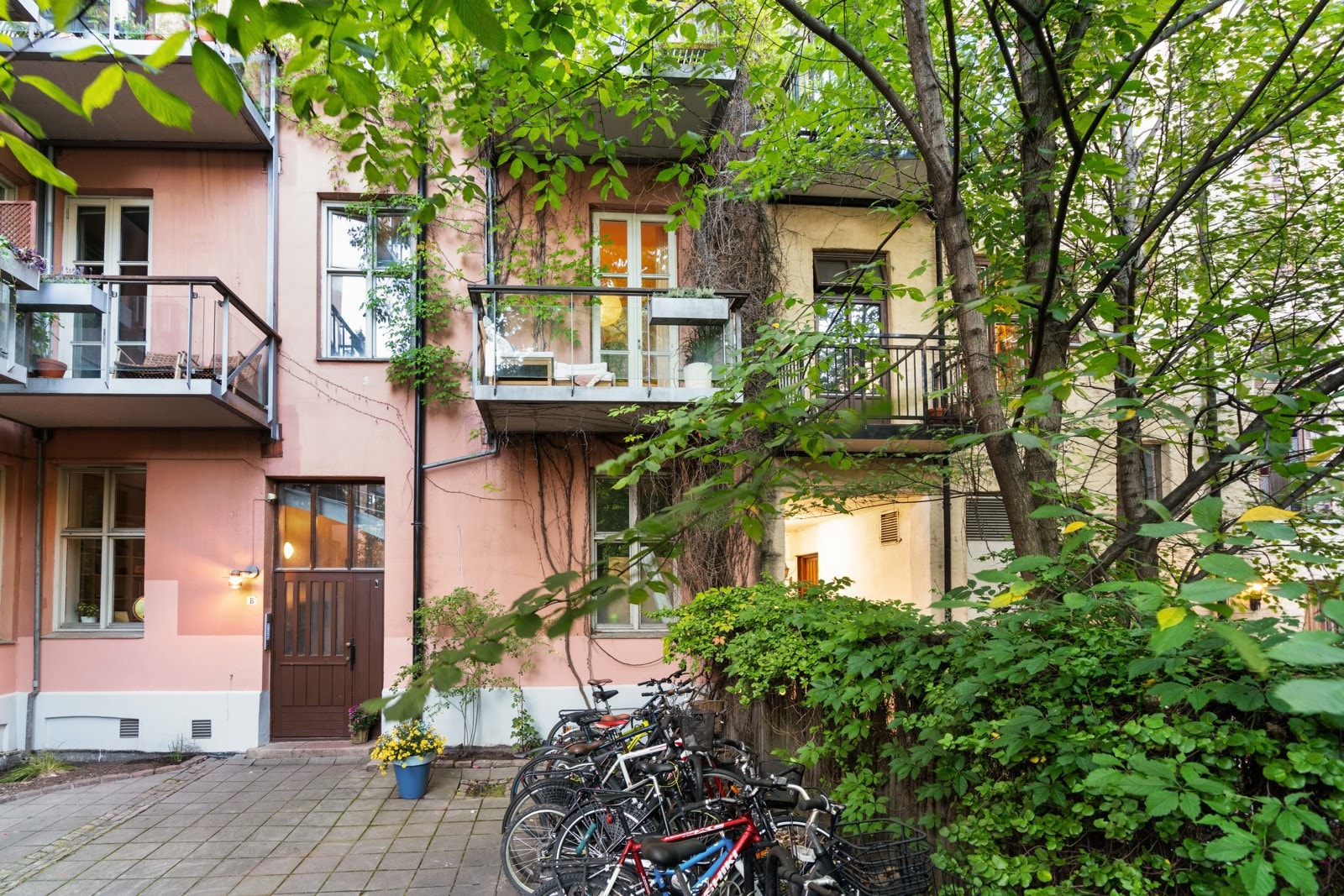 Frodig og lukket bakgård. Galleribilde