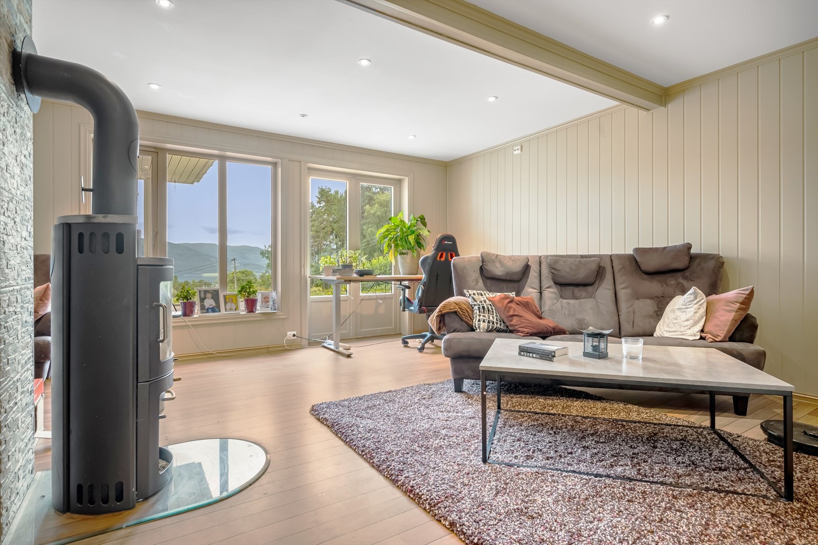 Leilighet i første etasje med vedovn. Galleribilde