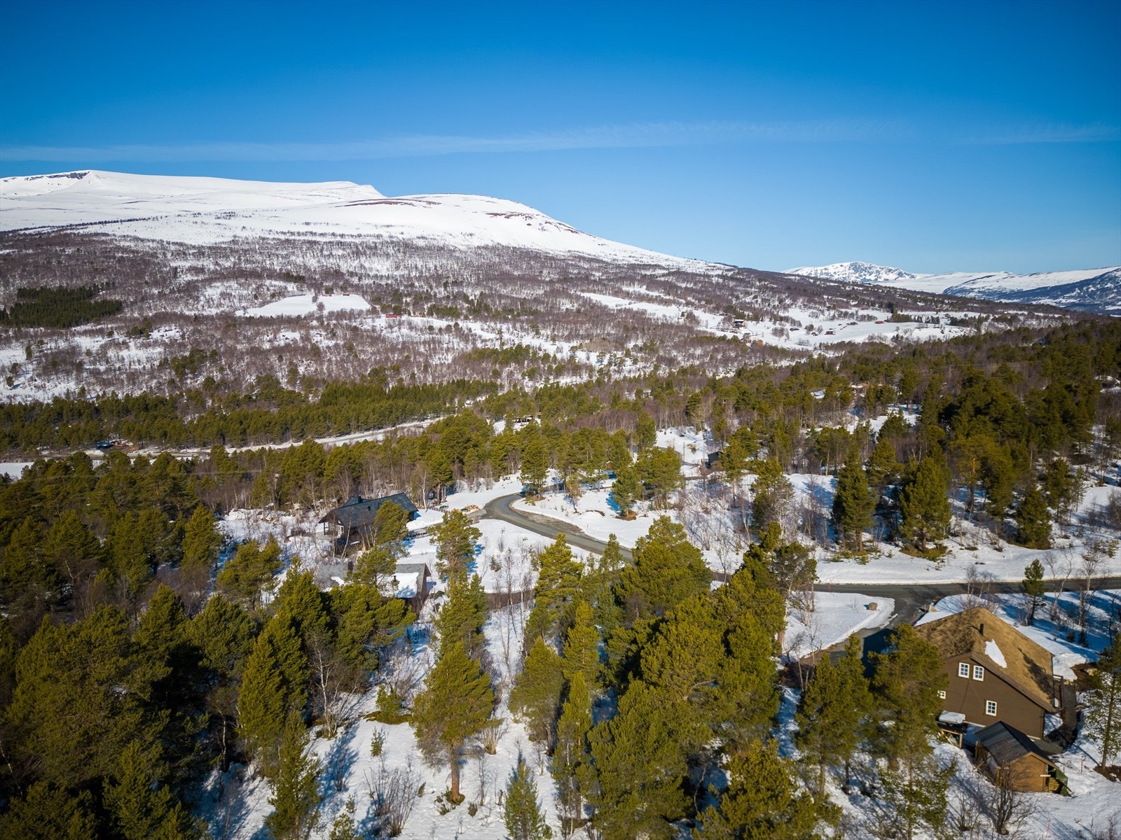 Tomten ligger i umiddelbar nærhet til flott natur og uendelige turmuligheter sommer og vinter Galleribilde