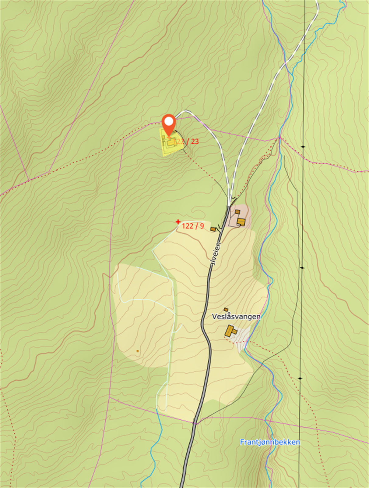 Kartutsnitt Galleribilde