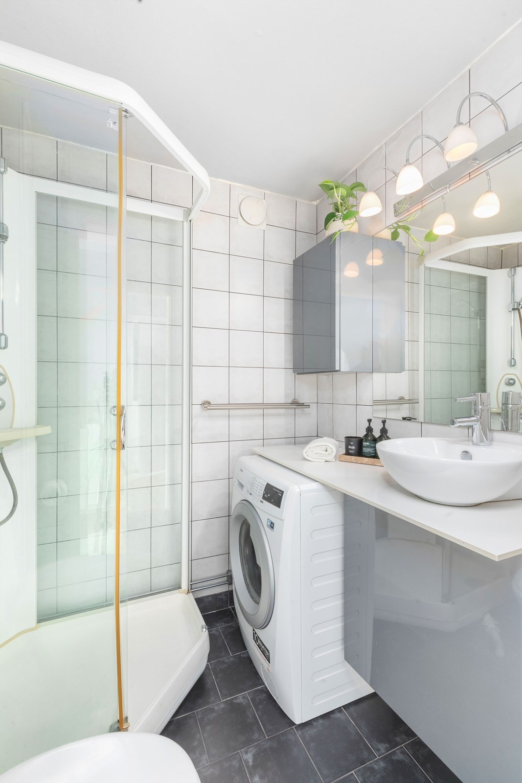 Toalett samt opplegg til vaskemaskin. Galleribilde