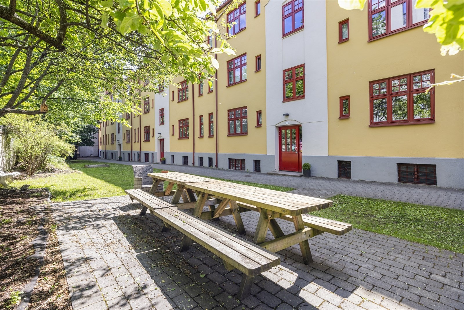 Frodig bakgård. Galleribilde