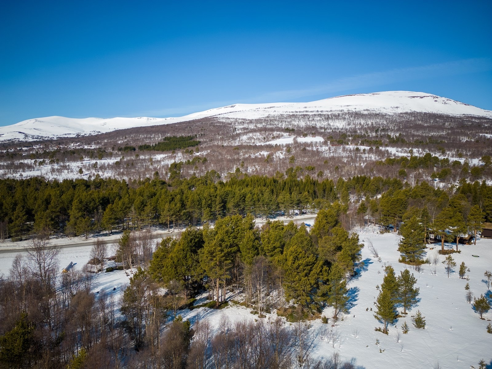 Dagligvarehandelen kan gjøres på Joker Festa Galleribilde