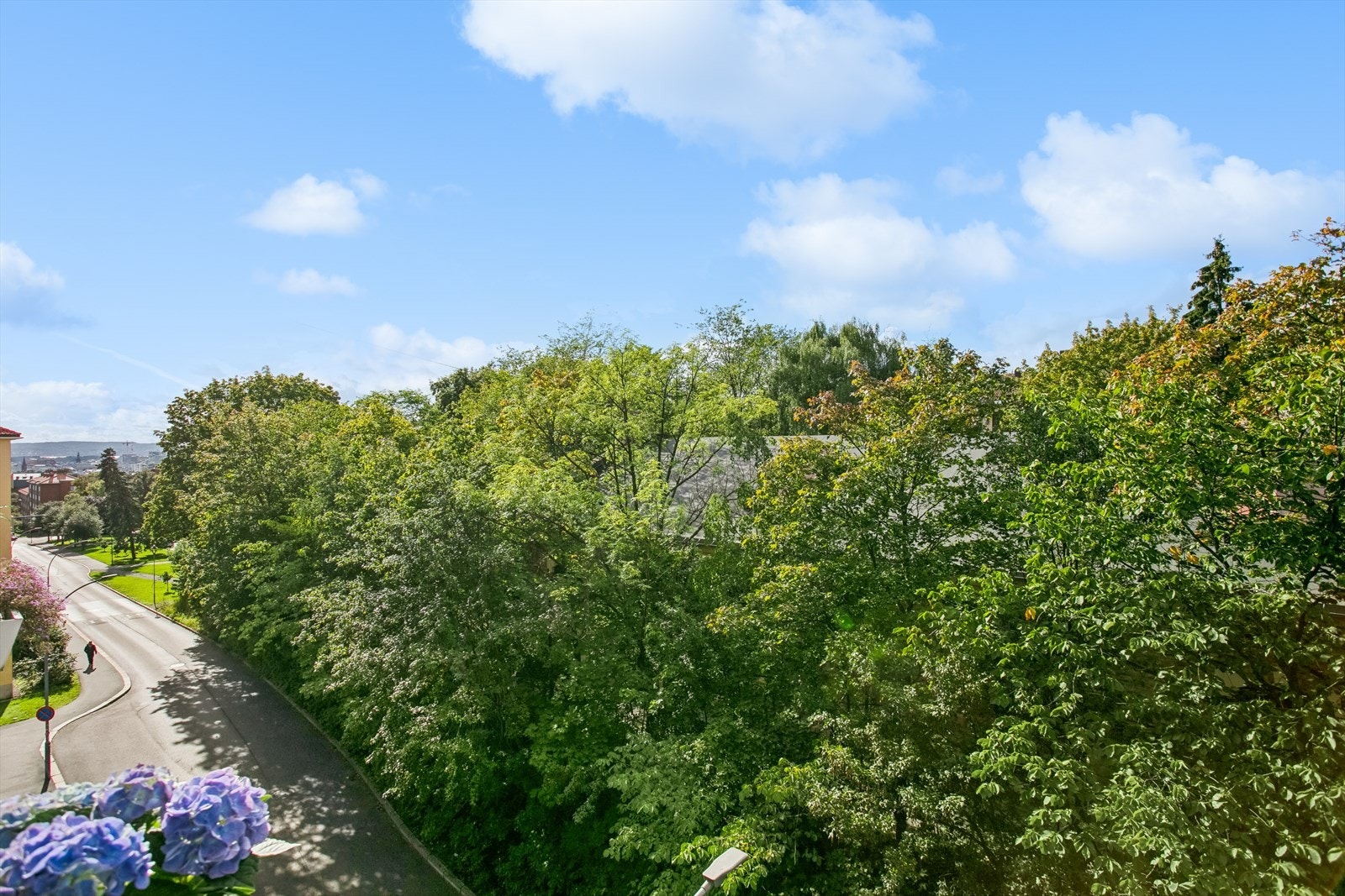 Fra balkongen har man fritt utsyn mot grøntarealer og utsikt nedover mot sentrum Galleribilde