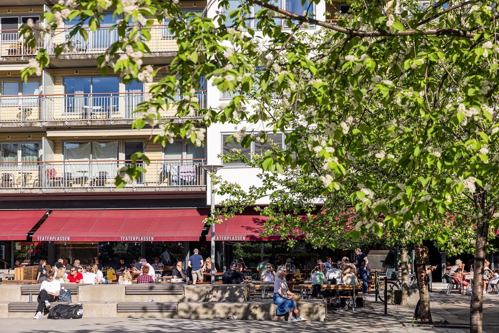 Teaterplassen i umiddelbar nærhet av leiligheten. Galleribilde
