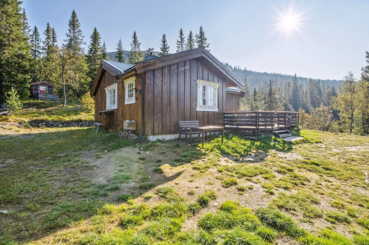 Usjenert beliggenhet med god avstand til andre hytter i området Galleribilde