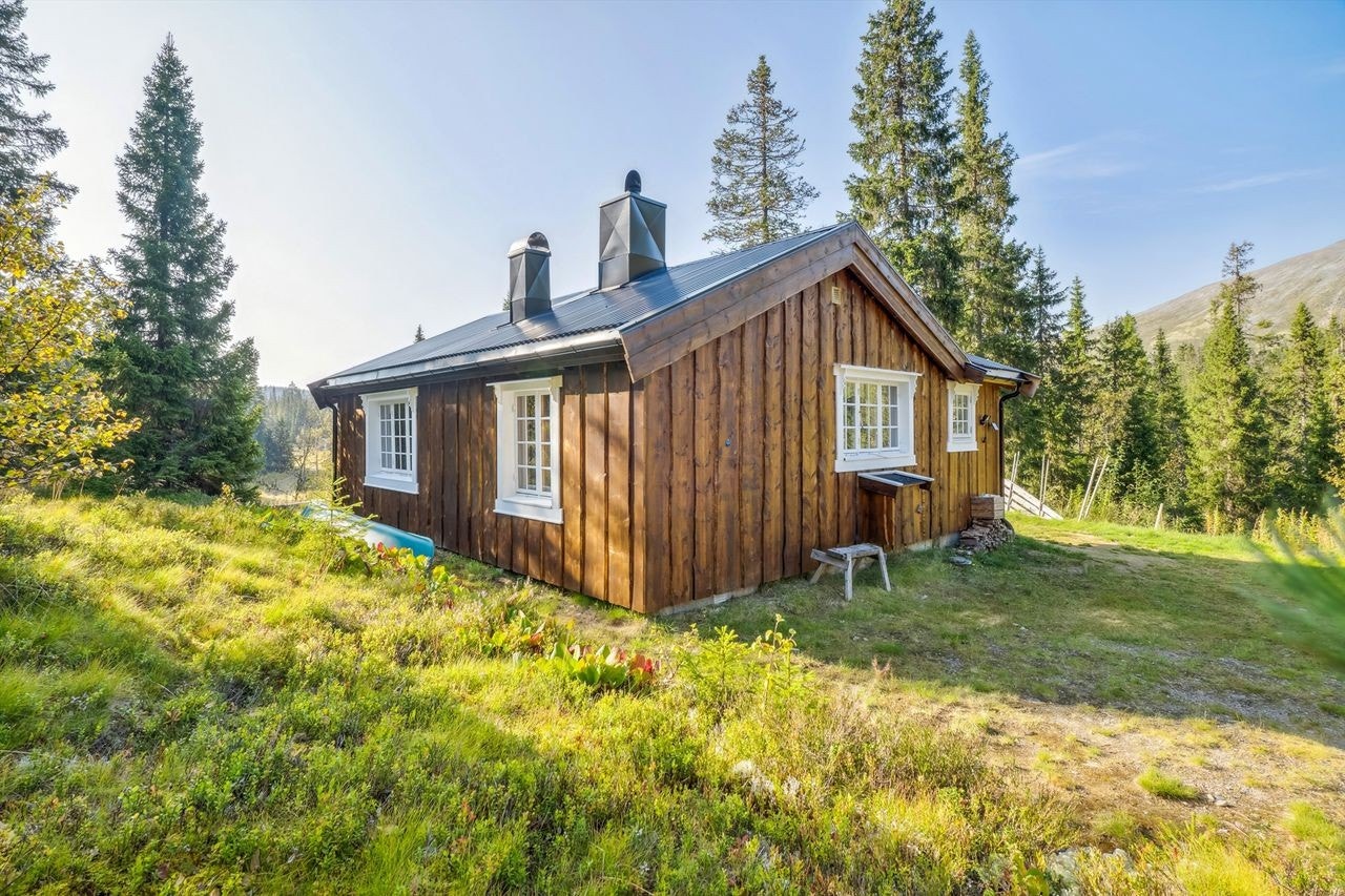 Hytta ligger i flott norsk natur mellom Tylldalskjølen og Tynset. Galleribilde