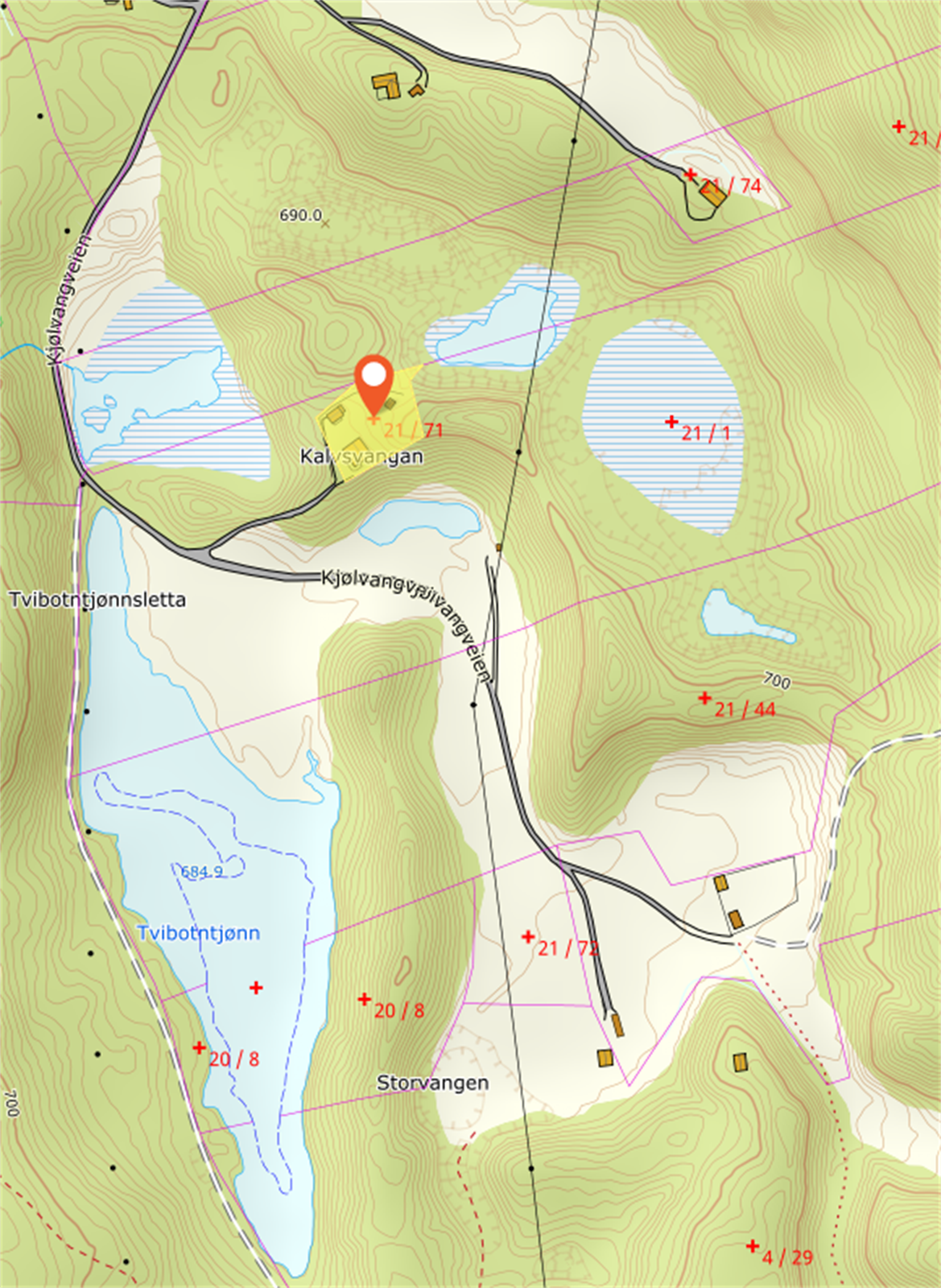 Kartutsnitt Galleribilde