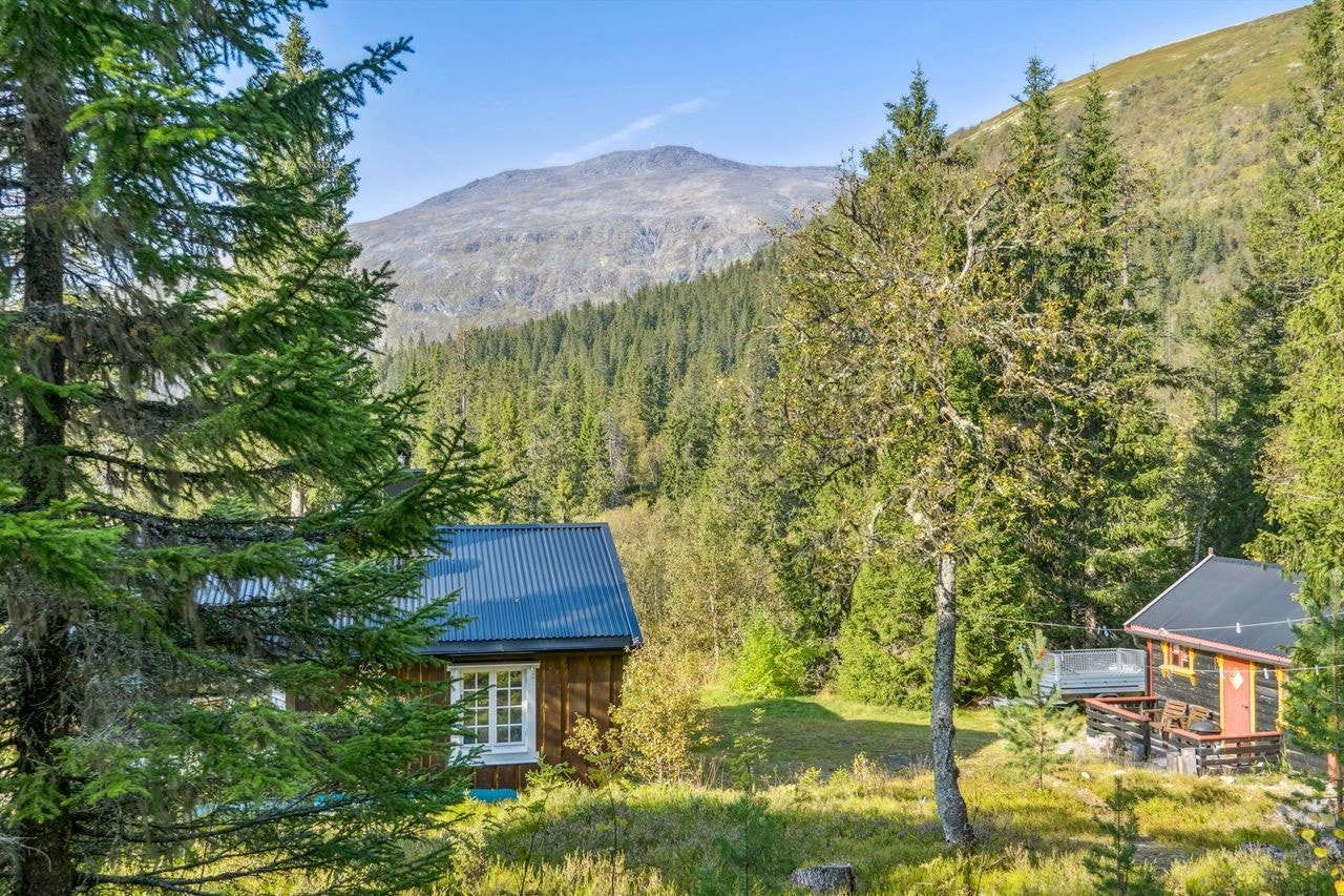 Eiendommen ligger fint til i naturskjønne omgivelser Galleribilde