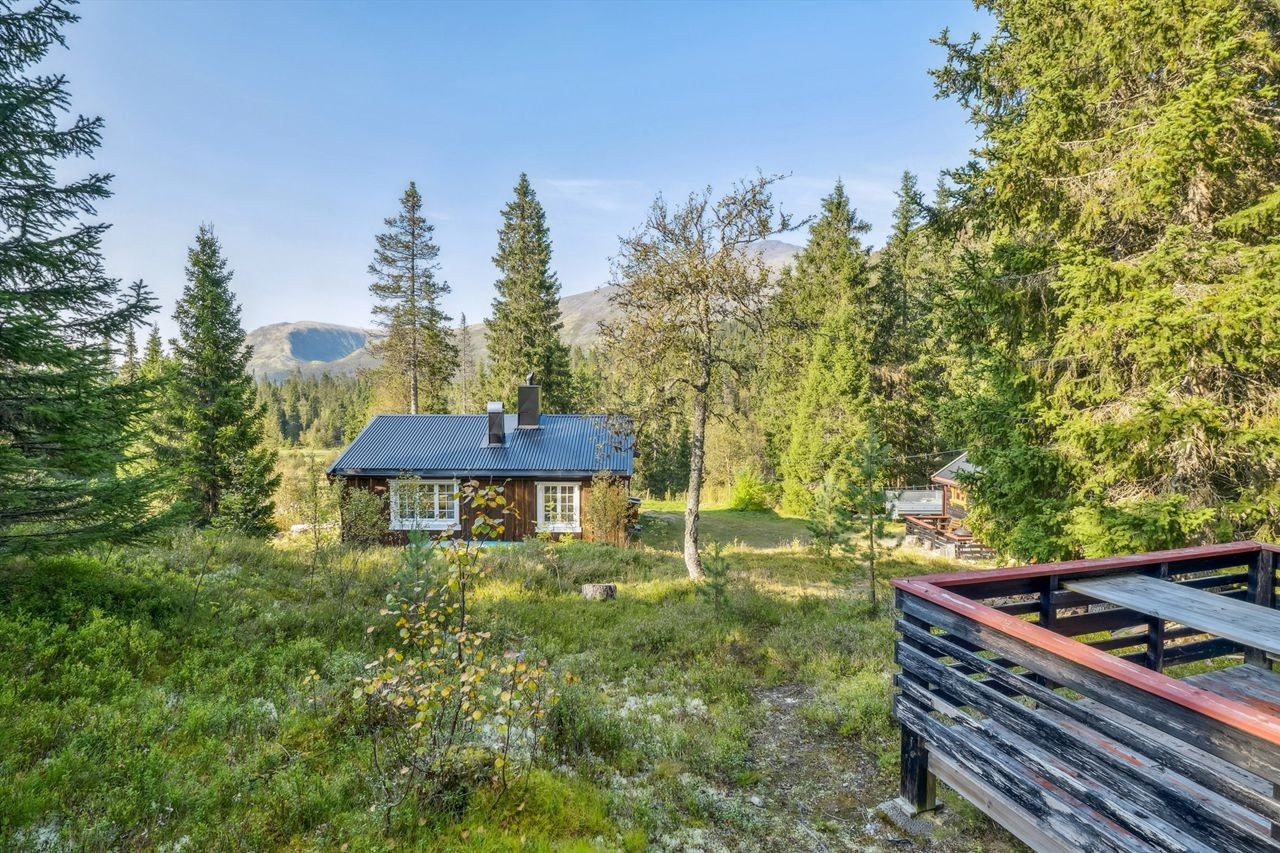 Fra hytta er det kort vei til turterreng. Fiskemuligheter i Tronsjøen eller en kan reise litt lenger og benytte mange flott fiskevann mot kjøp av fiskekort. Galleribilde