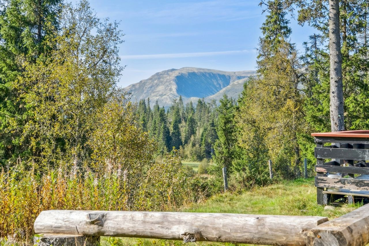 Idyllisk beliggenhet med fin utsikt mot fjell og skog, perfekt for naturelskere som søker ro og naturopplevelser. Galleribilde