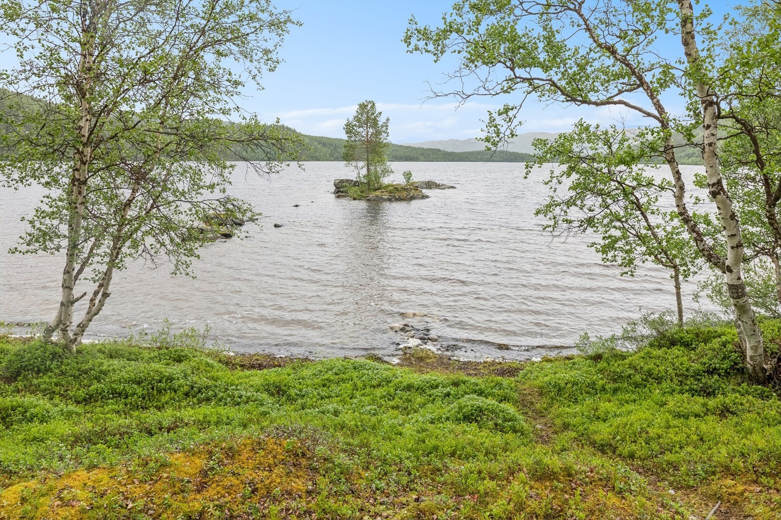 Bademuligheter rett utenfor hytta. Galleribilde