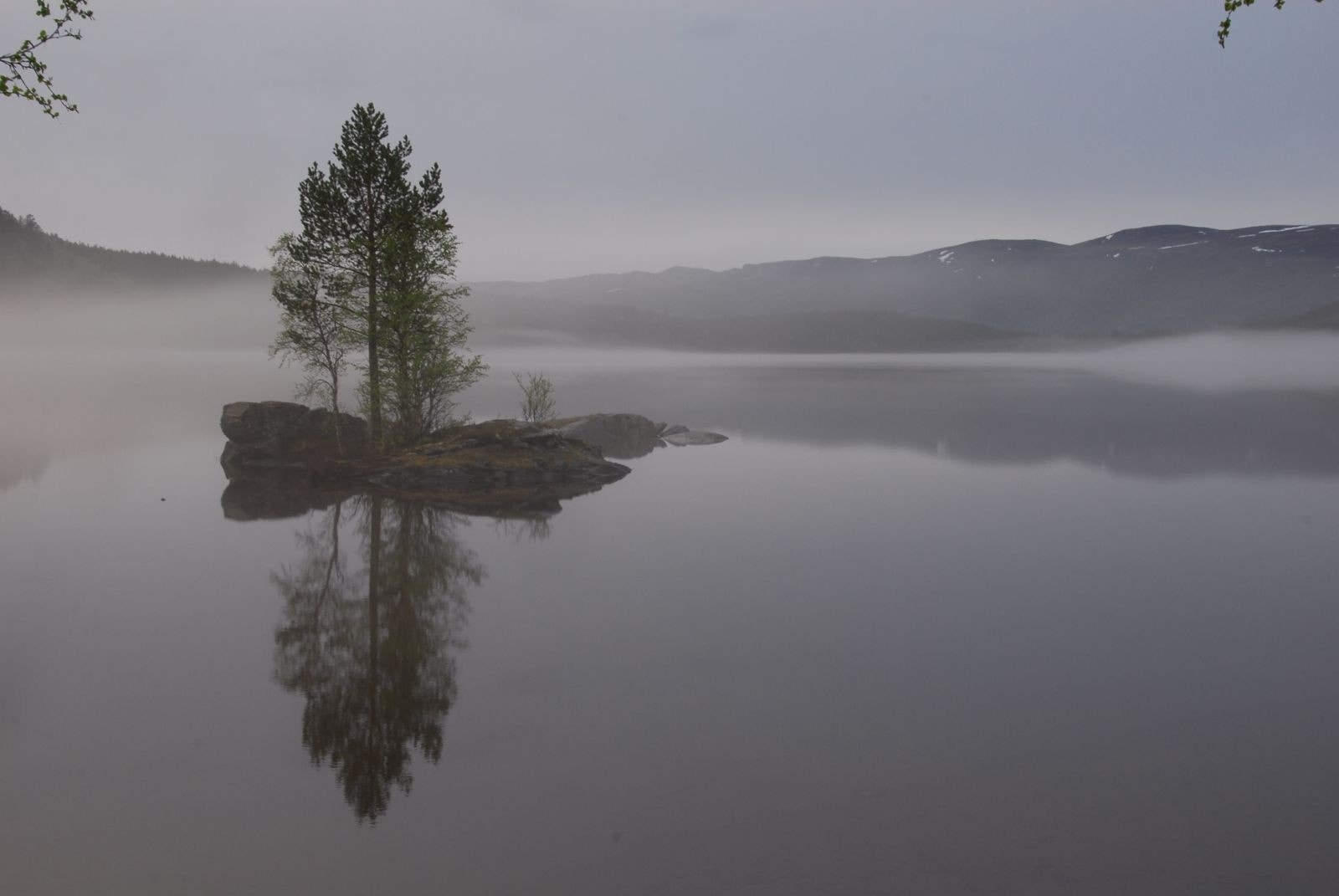 Stemningsbilde tatt av eier. Galleribilde