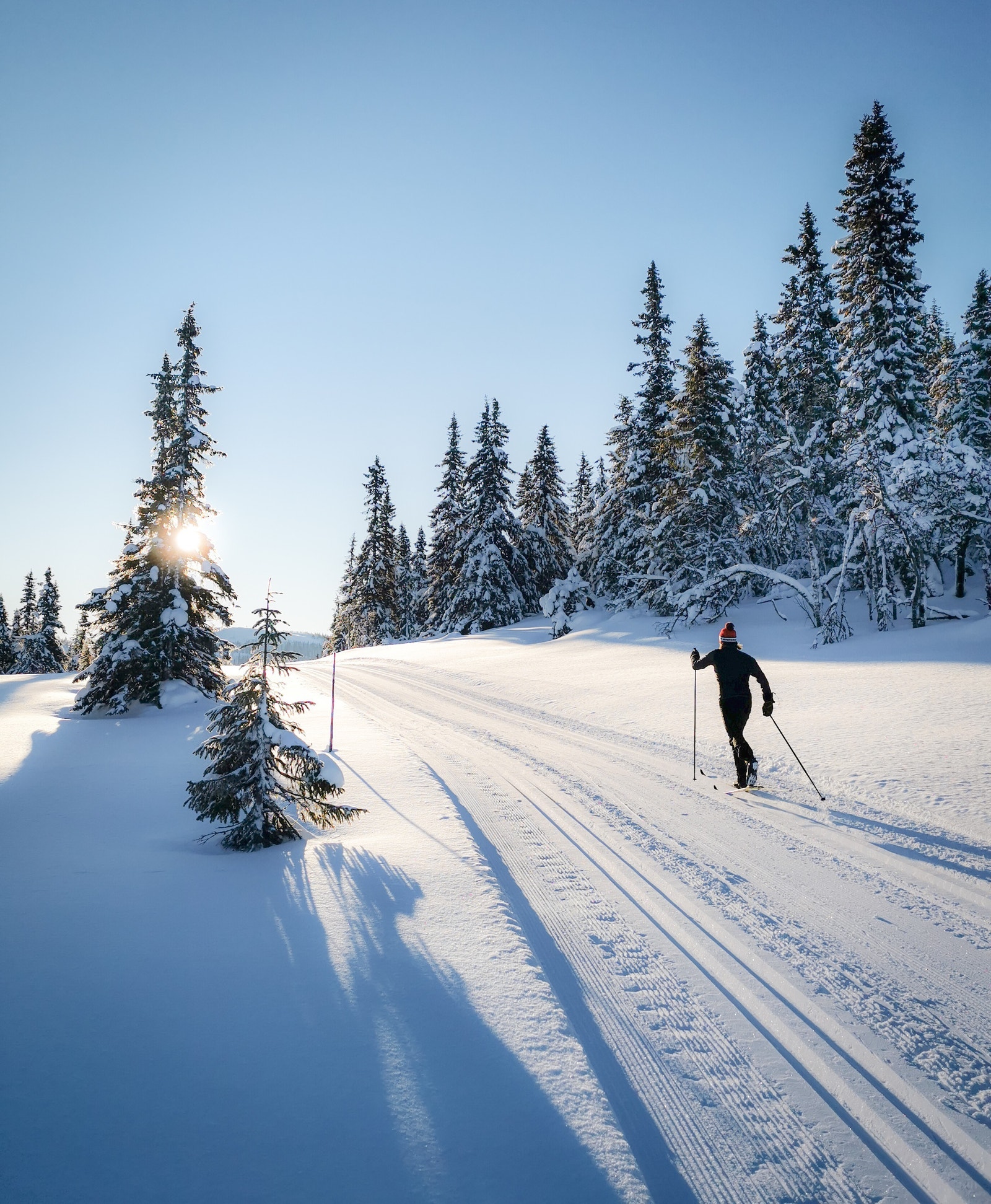 Du finner også flotte løyper i lunt skogsterreng for de litt kaldere dagene Galleribilde