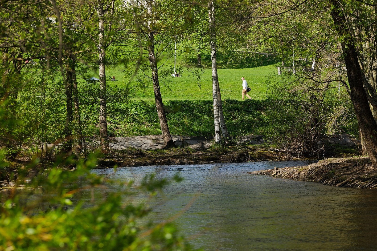 Områdebilde Galleribilde