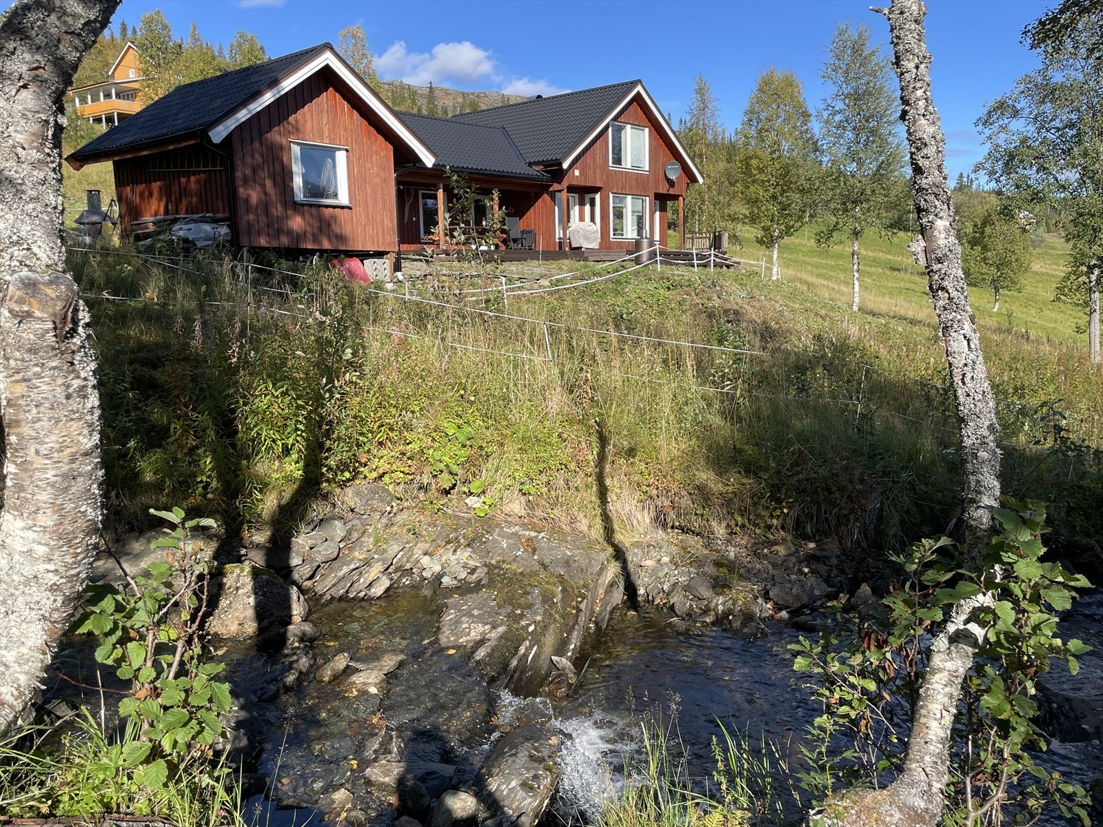 Sommerbilde Galleribilde