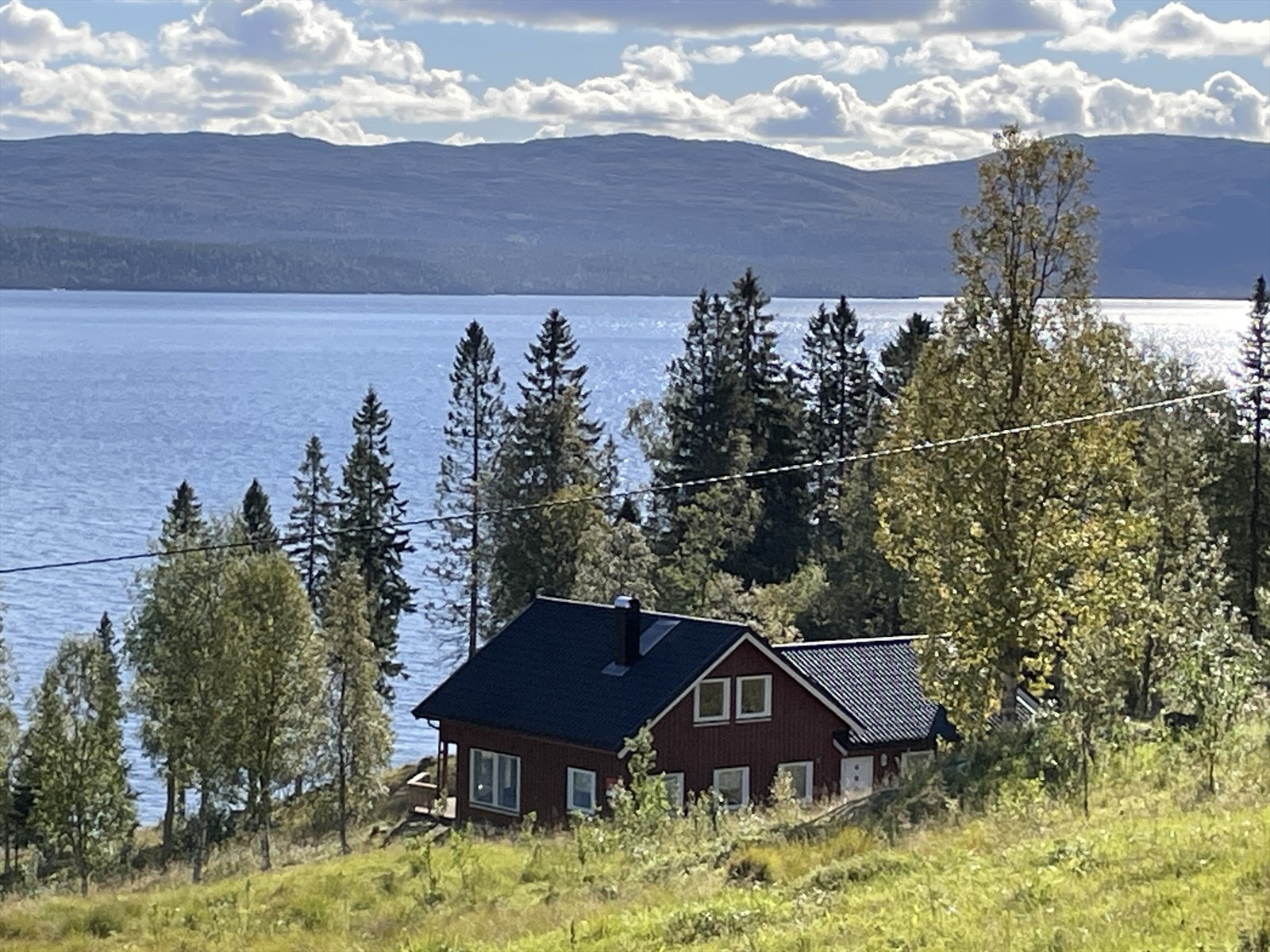 Sommerbilde Galleribilde