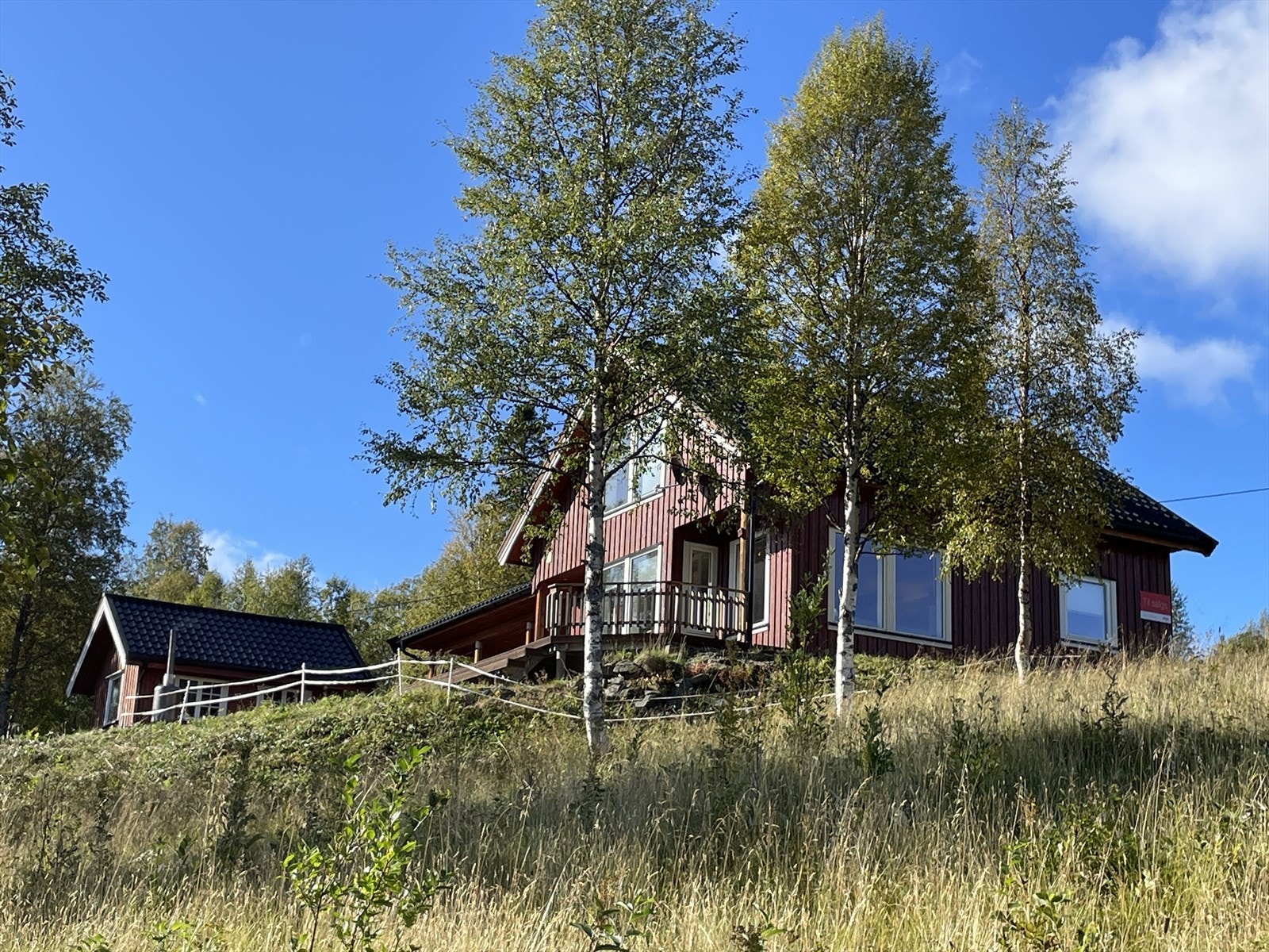 Sommerbilde Galleribilde