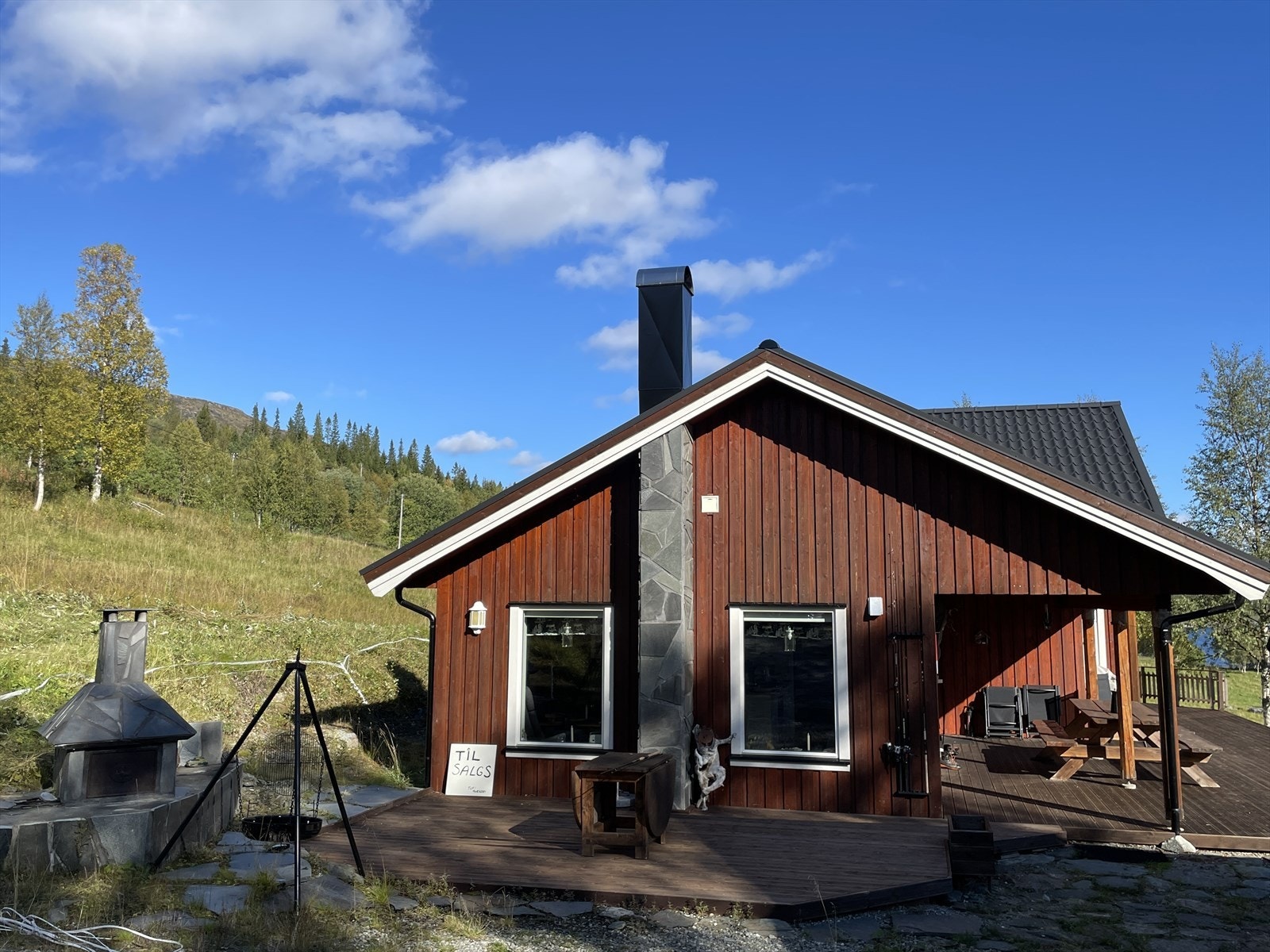 Sommerbilde Galleribilde