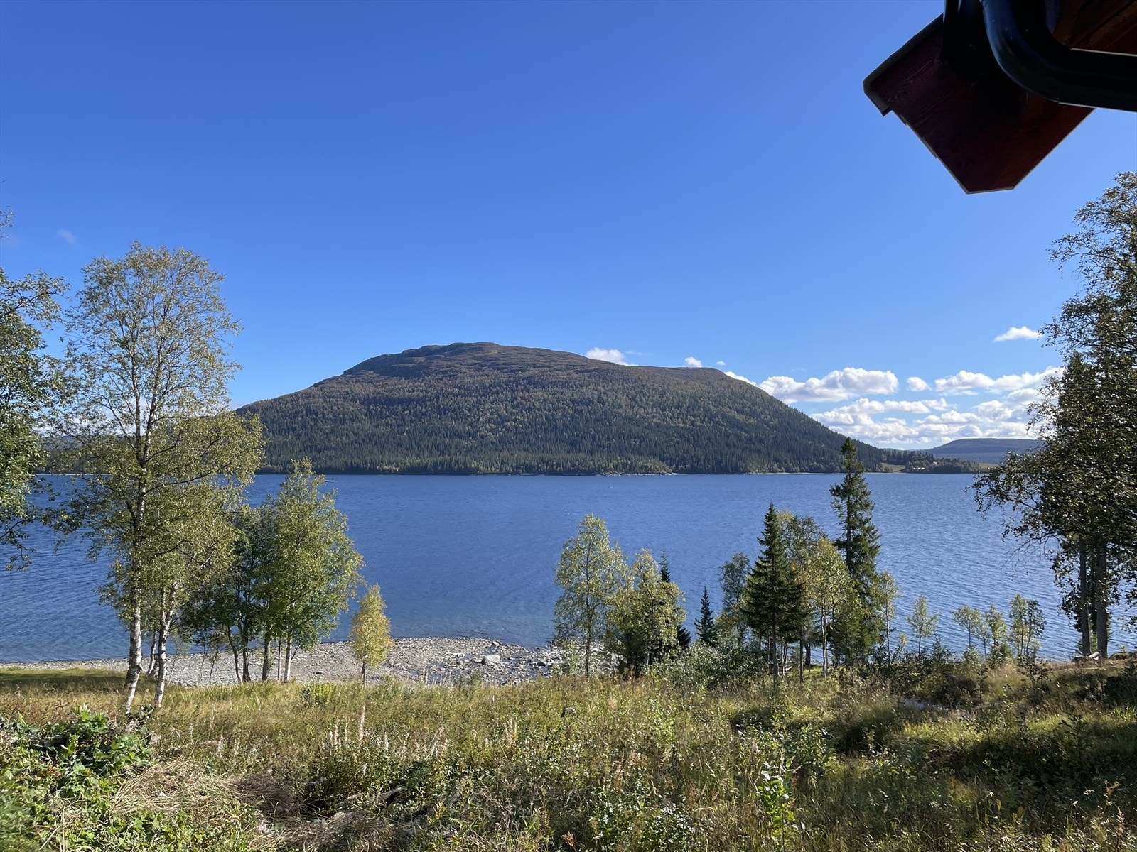 Sommerbilde Galleribilde