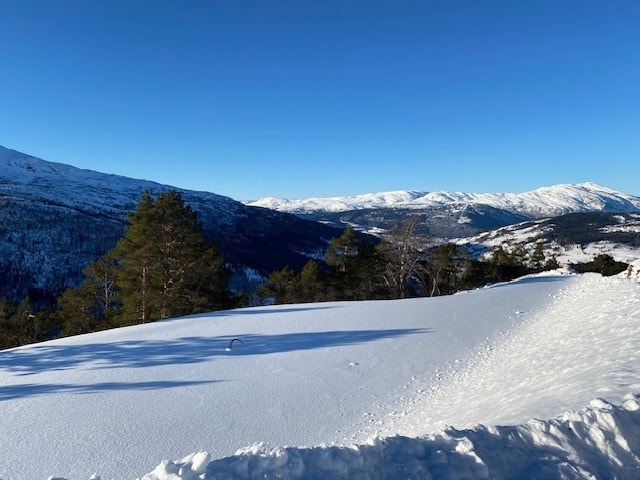 Utsikt mot Voss sentrum Galleribilde