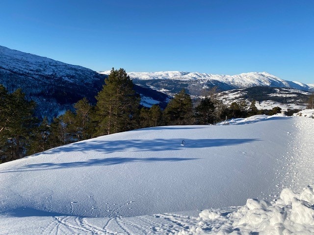 Et paradis både sommer og vinter Galleribilde