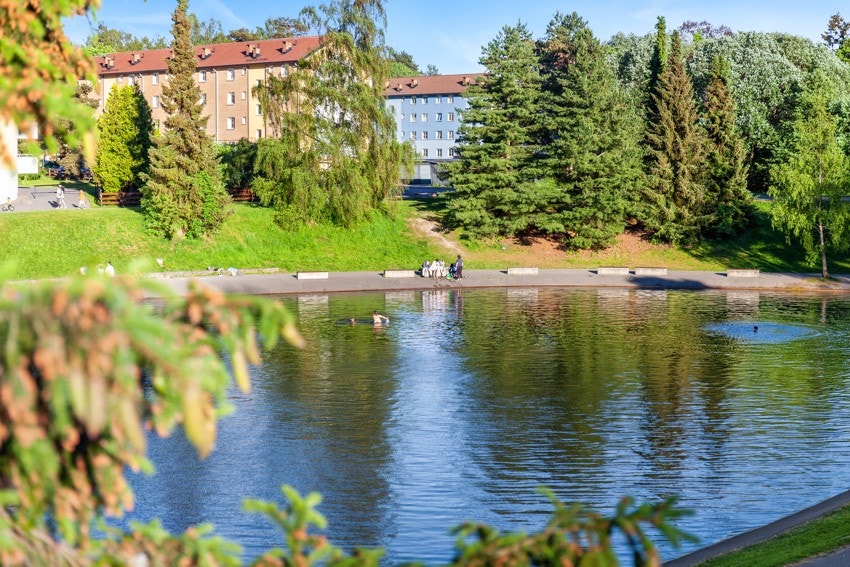 En hyggelig gåtur unna har du badedammen på Årvoll, Årvoll gård eller Linderud gård som er noe nærmere. Galleribilde