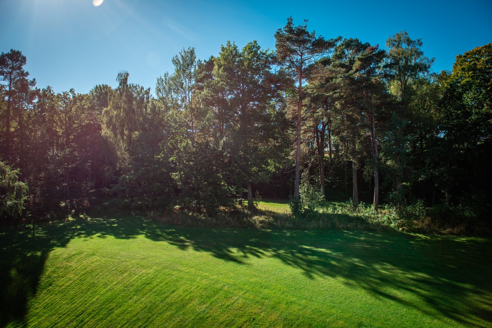 Utsyn mot skog og fellesområder. Galleribilde