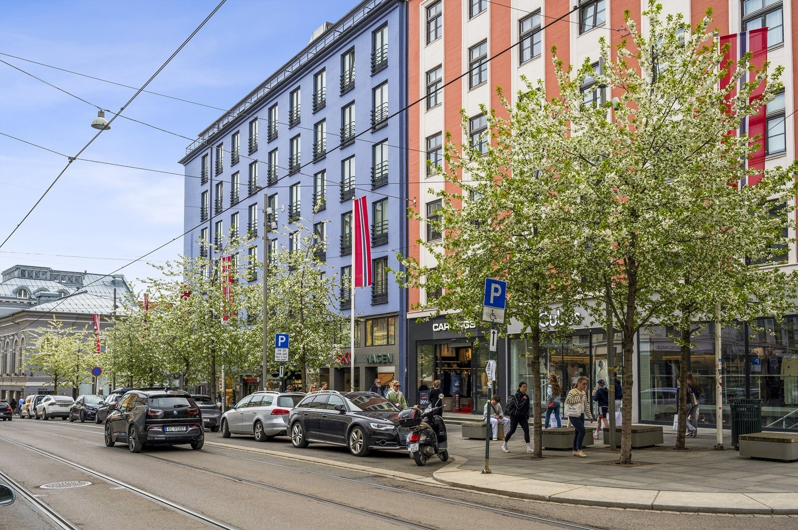 Nærområdet. Galleribilde